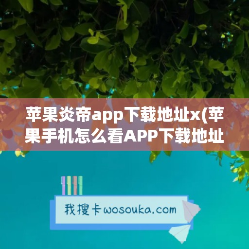 苹果炎帝app下载地址x(苹果手机怎么看APP下载地址)