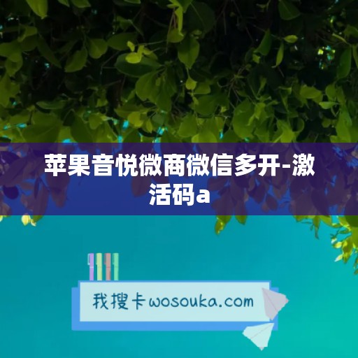 苹果音悦微商微信多开-激活码a