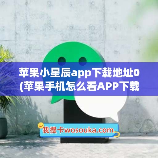 苹果小星辰app下载地址0(苹果手机怎么看APP下载地址)