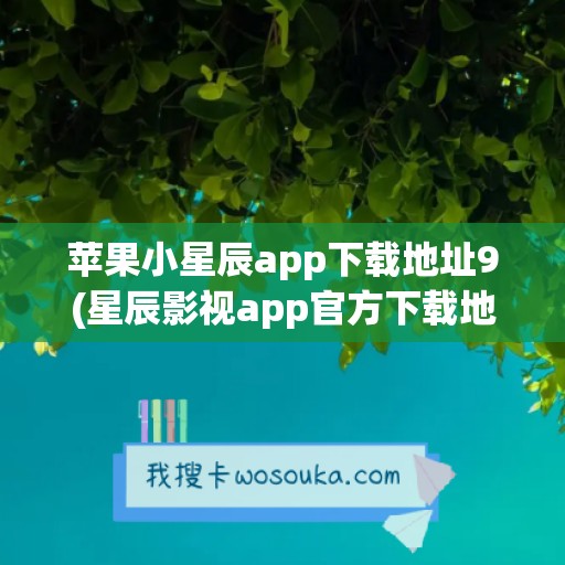 苹果小星辰app下载地址9(星辰影视app官方下载地址)