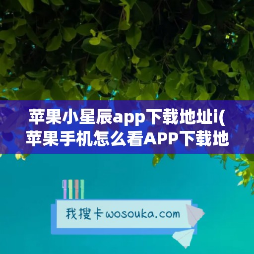 苹果小星辰app下载地址i(苹果手机怎么看APP下载地址)