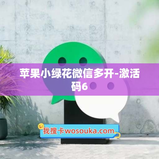 苹果小绿花微信多开-激活码6