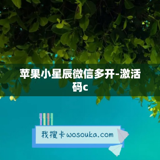 苹果小星辰微信多开-激活码c