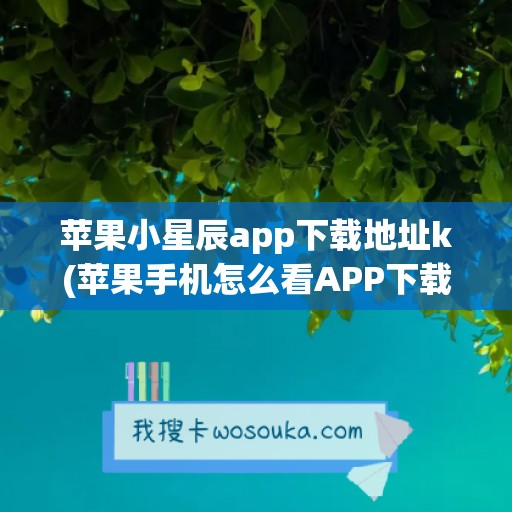 苹果小星辰app下载地址k(苹果手机怎么看APP下载地址)