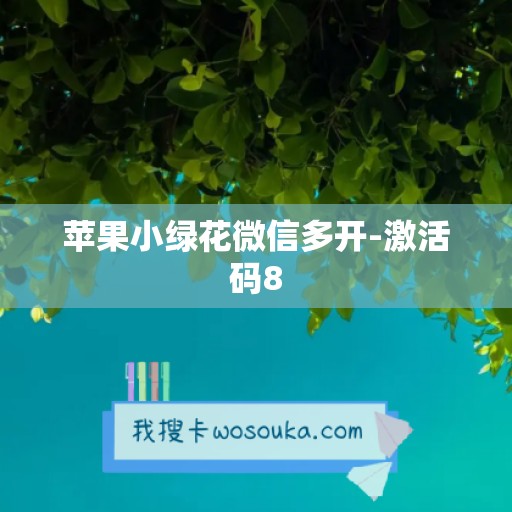 苹果小绿花微信多开-激活码8