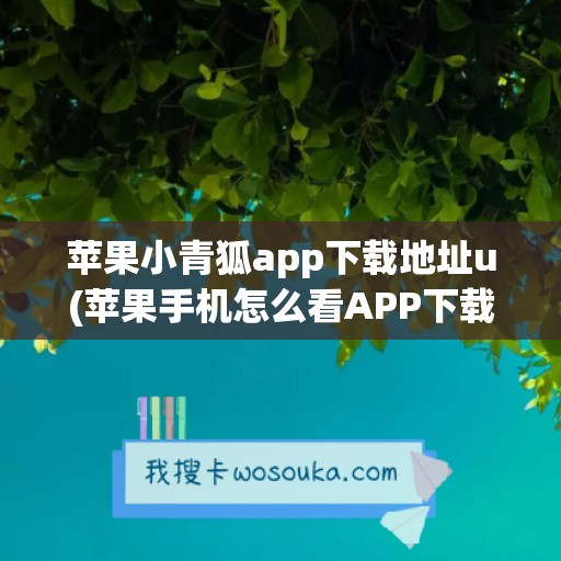 苹果小青狐app下载地址u(苹果手机怎么看APP下载地址)