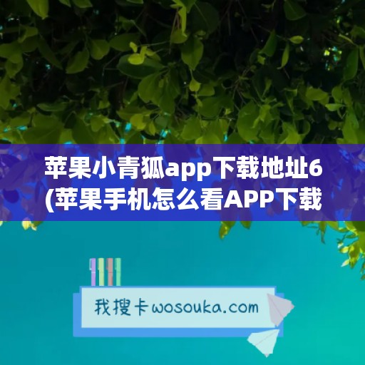 苹果小青狐app下载地址6(苹果手机怎么看APP下载地址)