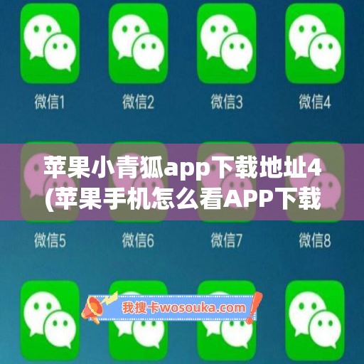 苹果小青狐app下载地址4(苹果手机怎么看APP下载地址)