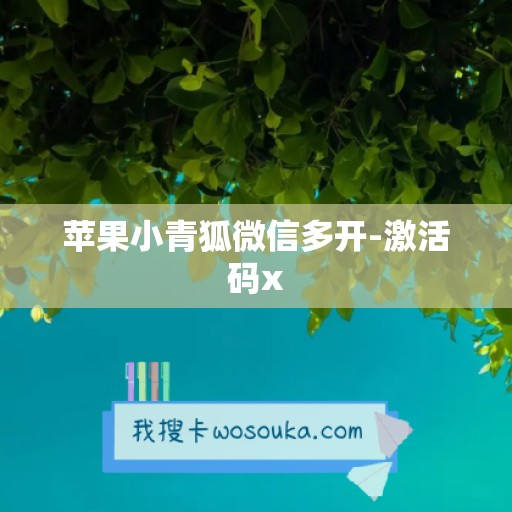 苹果小青狐微信多开-激活码x