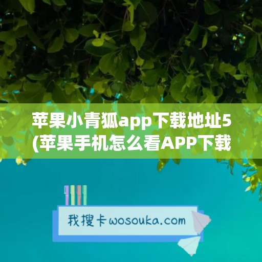 苹果小青狐app下载地址5(苹果手机怎么看APP下载地址)