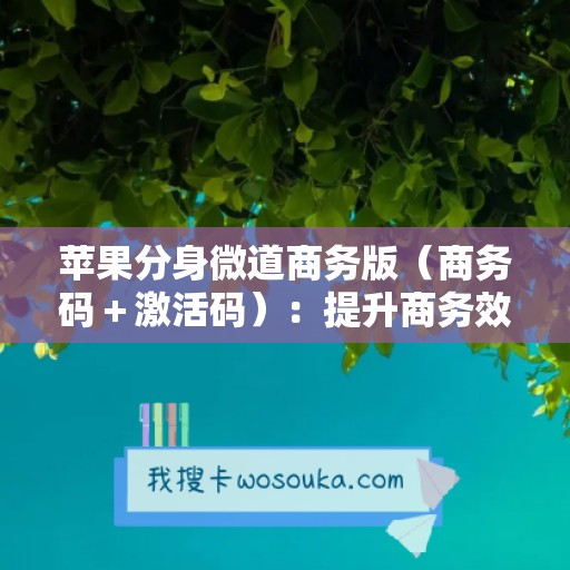 苹果分身微道商务版（商务码＋激活码）：提升商务效率的必备利器