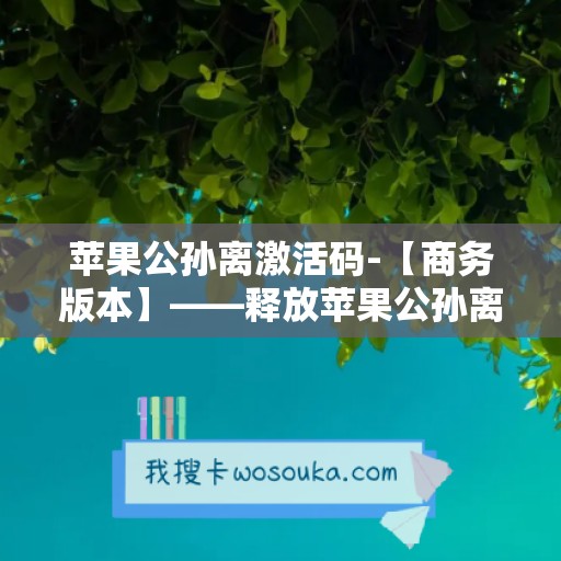 苹果公孙离激活码-【商务版本】——释放苹果公孙离的潜力，助力商务成功！