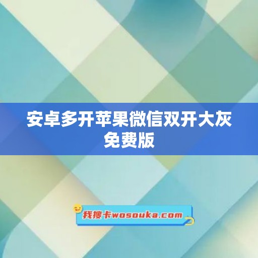 安卓多开苹果微信双开大灰免费版