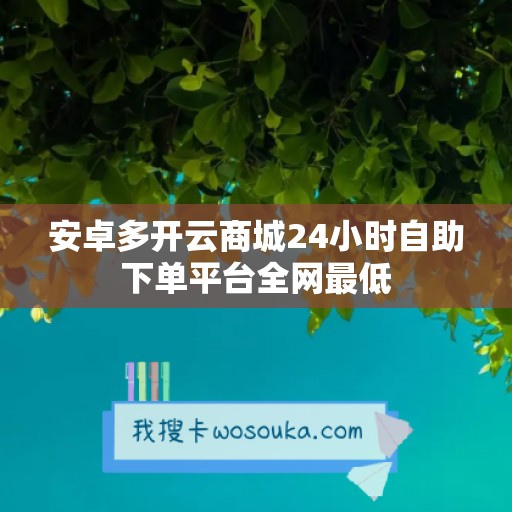 安卓多开云商城24小时自助下单平台全网最低