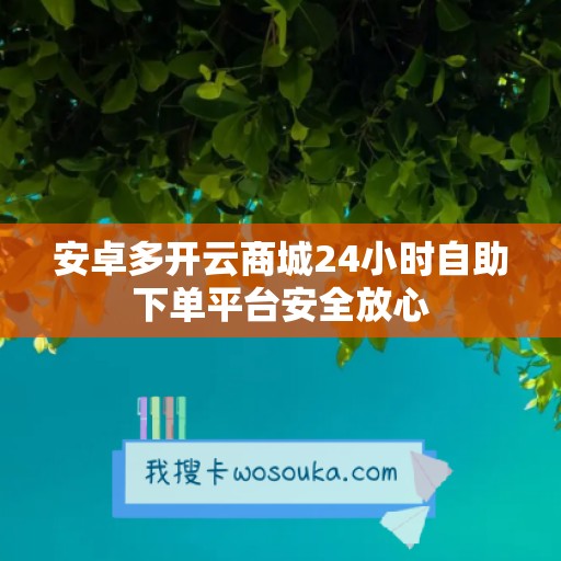 安卓多开云商城24小时自助下单平台安全放心