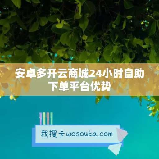 安卓多开云商城24小时自助下单平台优势