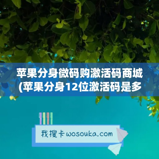 苹果分身微码购激活码商城(苹果分身12位激活码是多少)