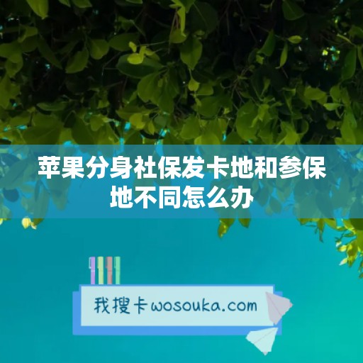 苹果分身社保发卡地和参保地不同怎么办