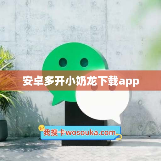 安卓多开小奶龙下载app