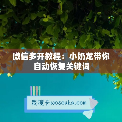 微信多开教程：小奶龙带你自动恢复关键词