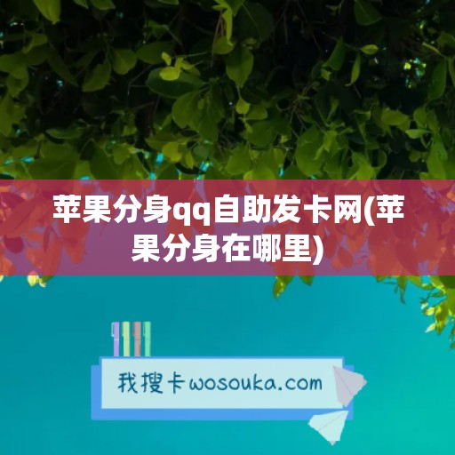 苹果分身qq自助发卡网(苹果分身在哪里)