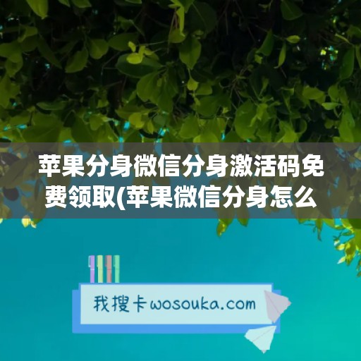 苹果分身微信分身激活码免费领取(苹果微信分身怎么分身)