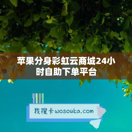 苹果分身彩虹云商城24小时自助下单平台