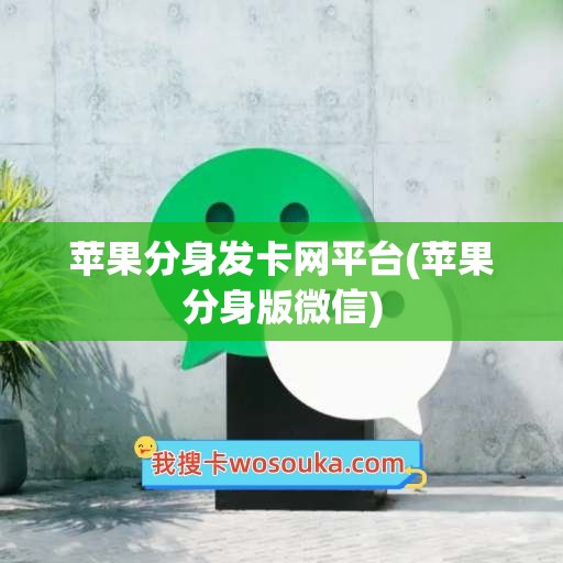 苹果分身发卡网平台(苹果分身版微信)