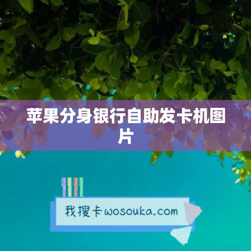 苹果分身银行自助发卡机图片