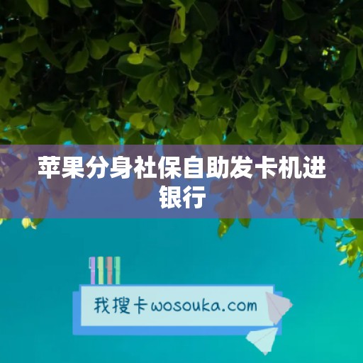 苹果分身社保自助发卡机进银行