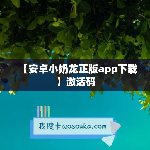 【安卓小奶龙正版app下载】激活码