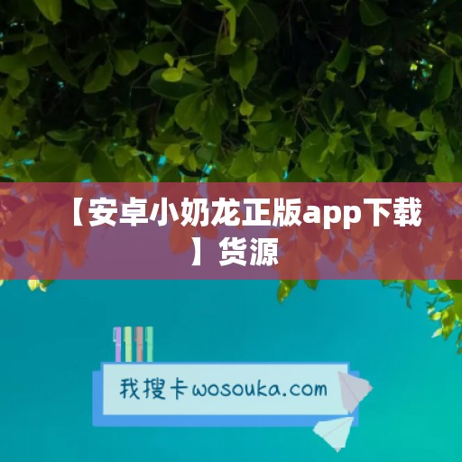 【安卓小奶龙正版app下载】货源