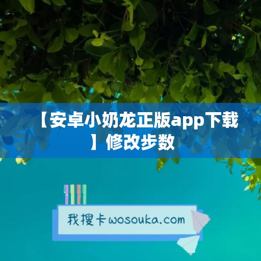 【安卓小奶龙正版app下载】修改步数