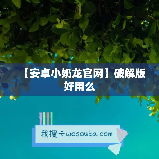 【安卓小奶龙官网】破解版好用么