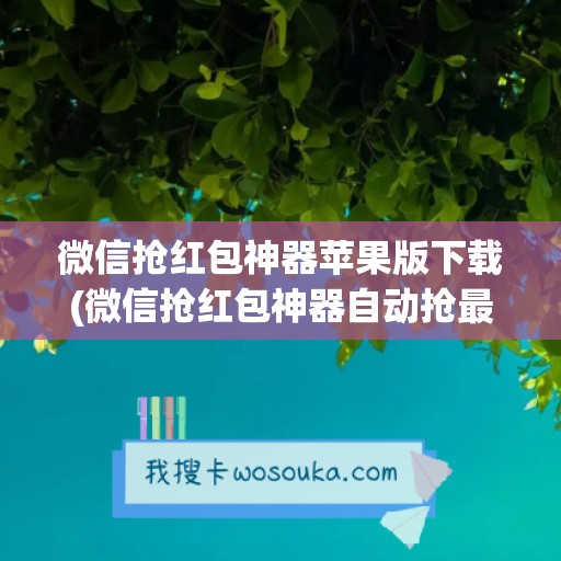 微信抢红包神器苹果版下载(微信抢红包神器自动抢最佳软件)