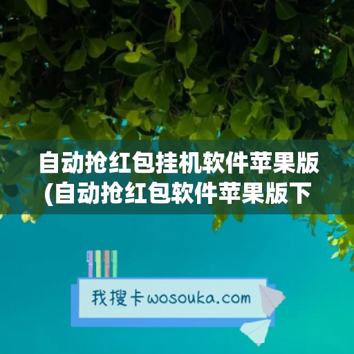 自动抢红包挂机软件苹果版(自动抢红包软件苹果版下载)