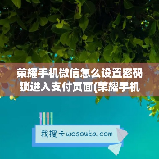 荣耀手机微信怎么设置密码锁进入支付页面(荣耀手机微信怎么设置指纹支付)