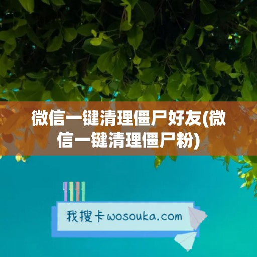 微信一键清理僵尸好友(微信一键清理僵尸粉)