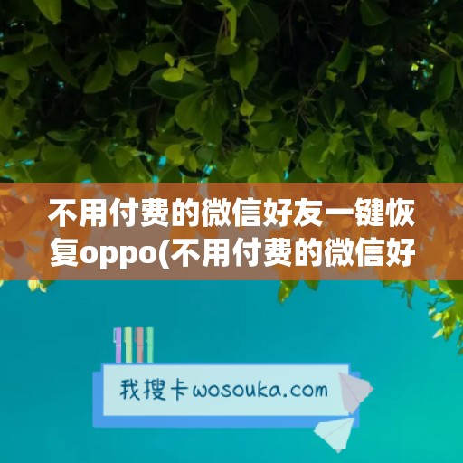 不用付费的微信好友一键恢复oppo(不用付费的微信好友一键恢复安卓)