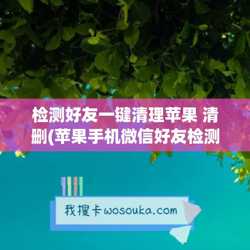 检测好友一键清理苹果 清删(苹果手机微信好友检测清理软件)