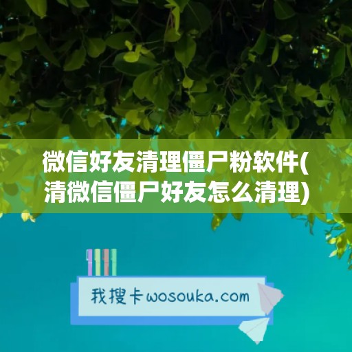 微信好友清理僵尸粉软件(清微信僵尸好友怎么清理)