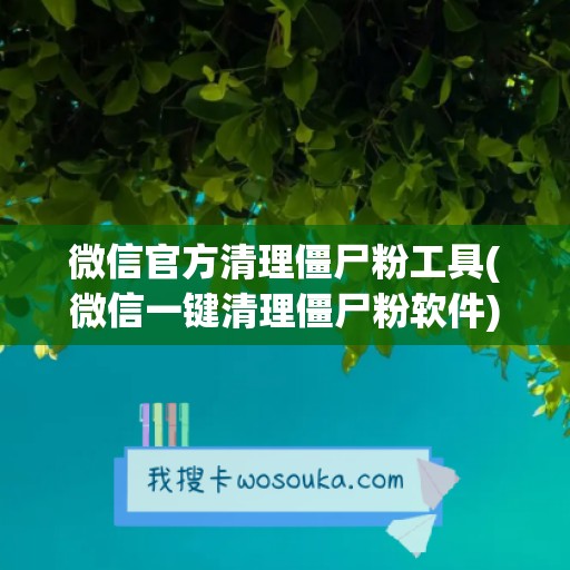 微信官方清理僵尸粉工具(微信一键清理僵尸粉软件)