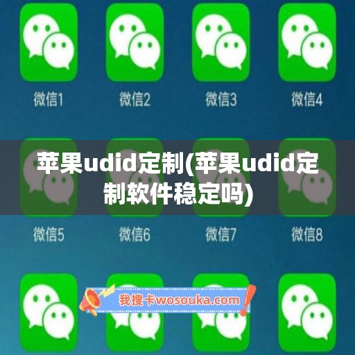 苹果udid定制(苹果udid定制软件稳定吗)