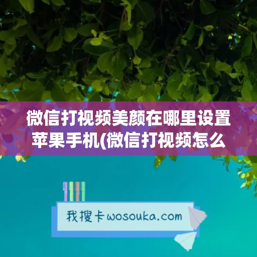 微信打视频美颜在哪里设置苹果手机(微信打视频怎么开美颜荣耀)