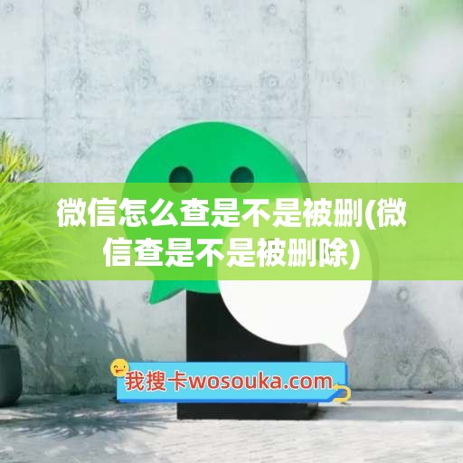 微信怎么查是不是被删(微信查是不是被删除)