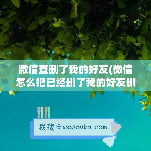 微信查删了我的好友(微信怎么把已经删了我的好友删除)