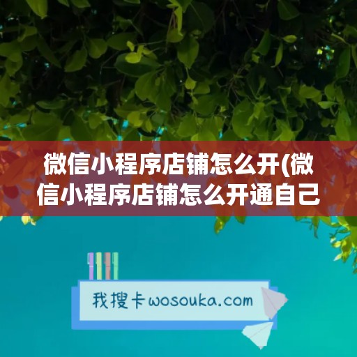 微信小程序店铺怎么开(微信小程序店铺怎么开通自己的小店)