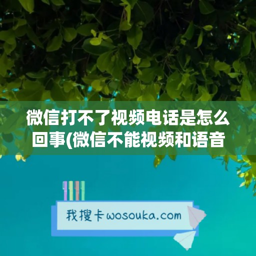 微信打不了视频电话是怎么回事(微信不能视频和语音聊天怎么回事)