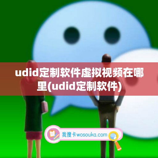 udid定制软件虚拟视频在哪里(udid定制软件)