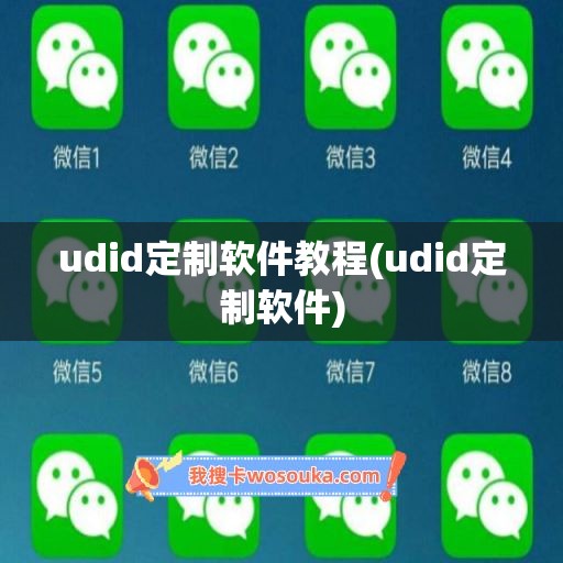 udid定制软件教程(udid定制软件)